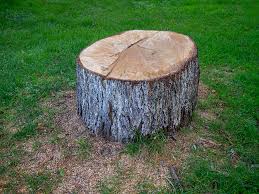Best Leaf Removal  in North Wildwood, NJ